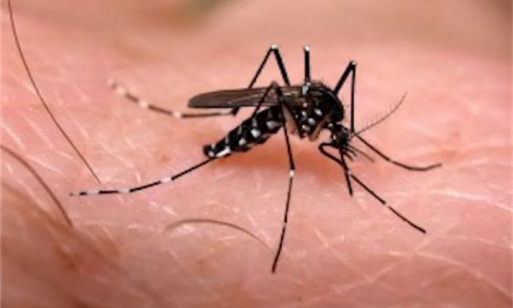 Συναγερμός στη Βραζιλία: Περισσότεροι από 2 εκατ. άνθρωποι έχουν μολυνθεί από δάγκειο πυρετό –Έχει κηρυχθεί κατάσταση έκτακτης ανάγκης